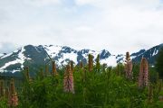 Foto: Tierra del Fuego. Gateway to the Icy Continent